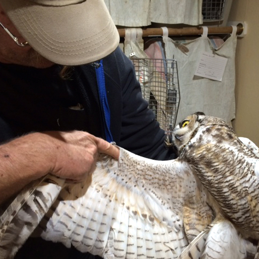 WaH_Home-WhatWeDo_Manage