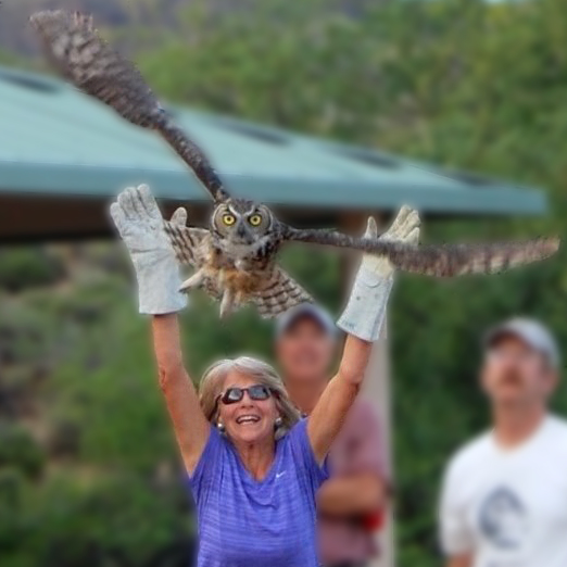 WaH_Home-WhatWeDo_Release